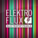 FLUX FM - ElectroFlux