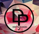 Deep Pulse Radio