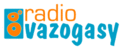 Radiovazogasy