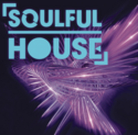 Vip-Radios.FM - Soulful House